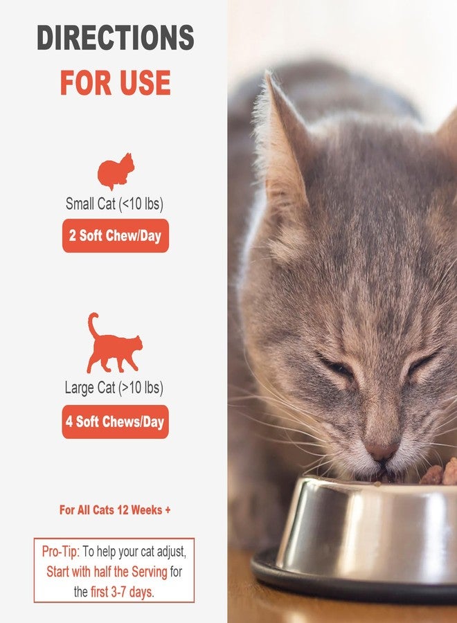 MARIMER Hairball Control Chews for Cats – Psyllium Husk, Lecithin, Omegas 3-6-9, Zinc & Biotin – Digestive & Skin Support for Hairball Reduction – Soft Chews, Chicken Flavor, 100 Count - Image 5